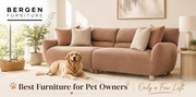 Best Furniture for Pet Owners | Only a Few Left